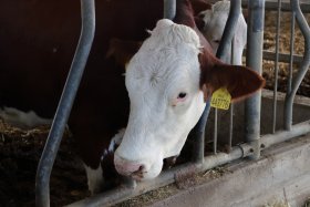 ZŠ | Projektový den "Poznej s námi zemědělství"